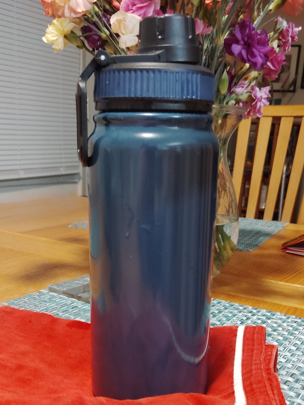 Insulated Tall Blue Water Bottle with Flip Cap